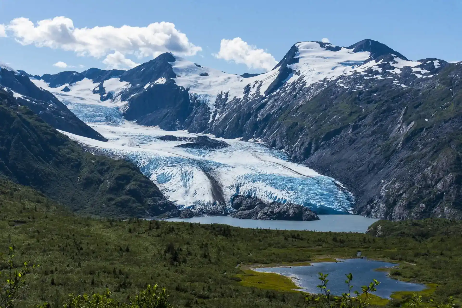 Alaska: nella natura selvaggia